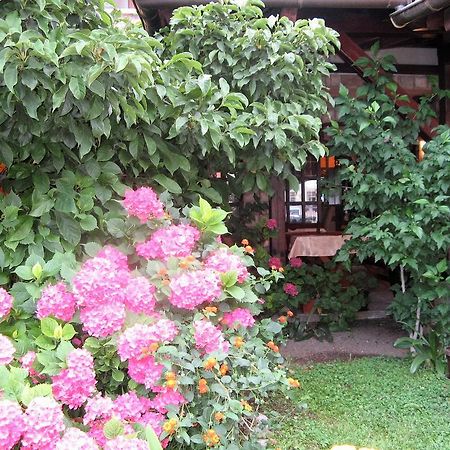 Guest House Zlatibor Budva Eksteriør bilde