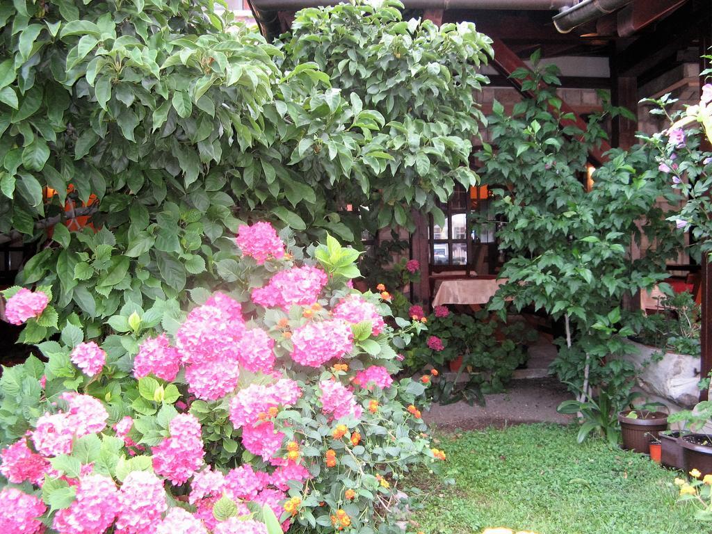 Guest House Zlatibor Budva Eksteriør bilde
